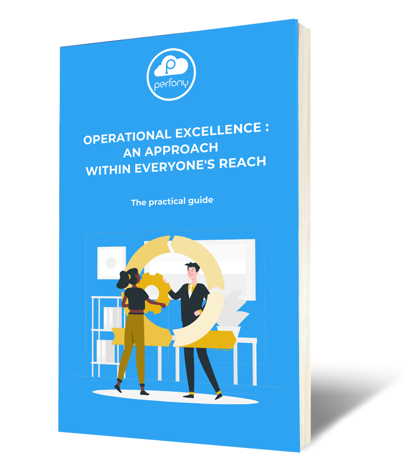 Operational Excellence: The Practical Guide - Perfony